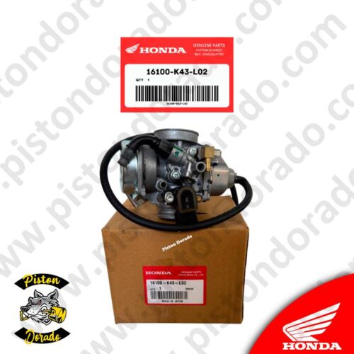 16100K43L02
